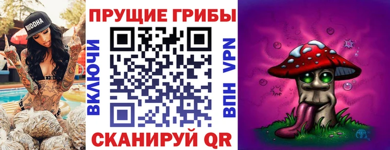 Псилоцибиновые грибы Psilocybe  Лиски 